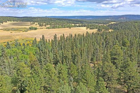 385 Pine Bluff Dr, Divide, CO 80814 photo 39