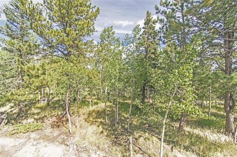 385 Pine Bluff Dr, Divide, CO 80814 photo 40