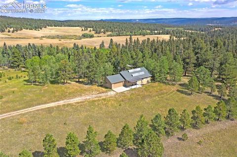 385 Pine Bluff Dr, Divide, CO 80814 photo 34