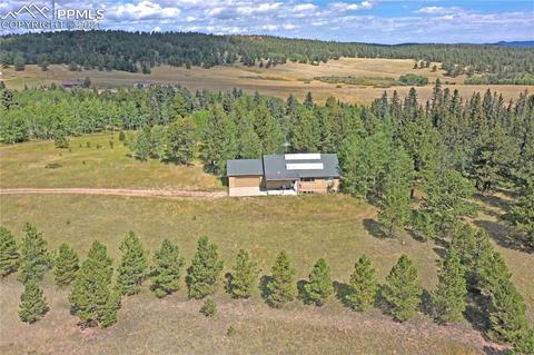 385 Pine Bluff Dr, Divide, CO 80814 photo 35
