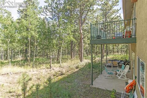 385 Pine Bluff Dr, Divide, CO 80814 photo 22