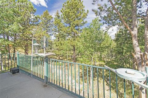 385 Pine Bluff Dr, Divide, CO 80814 photo 23