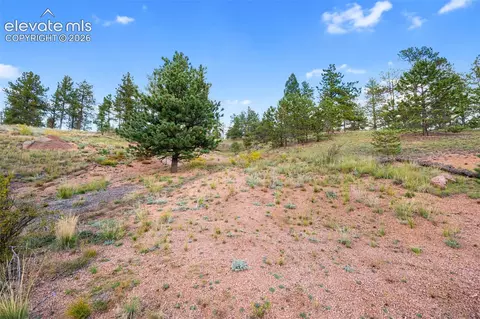 28 Pinnacle Cir, Florissant, CO 80816