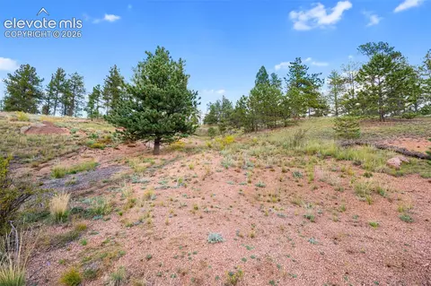 28 Pinnacle Cir, Florissant, CO 80816