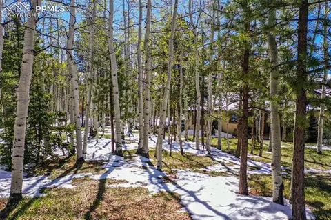 127 Bear Claw Trl, Divide, CO 80814 photo 48