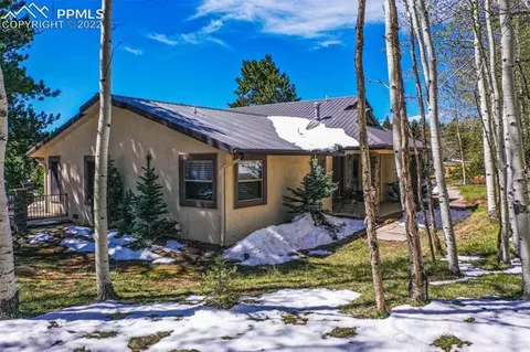 127 Bear Claw Trl, Divide, CO 80814 photo 41