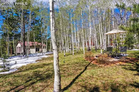 127 Bear Claw Trl, Divide, CO 80814 photo 49