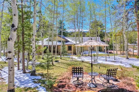 127 Bear Claw Trl, Divide, CO 80814 photo 5