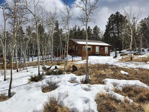 2604 Campfire Rd, Hartsel, CO 80449 photo 1