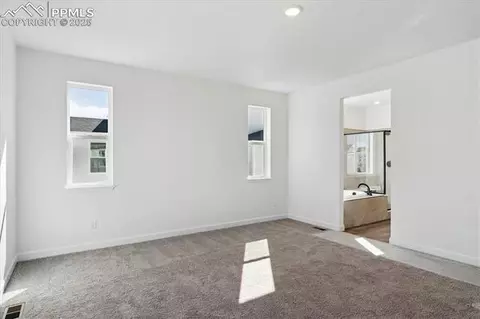 16911 Starfall Dr, Monument, CO 80132 photo 16