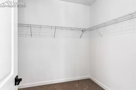 16911 Starfall Dr, Monument, CO 80132 photo 17