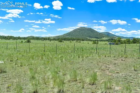 56 View Ln, Guffey, CO 80820 photo 4