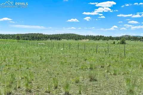 56 View Ln, Guffey, CO 80820 photo 17