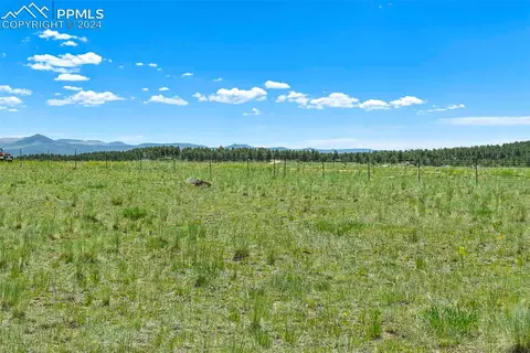 56 View Ln, Guffey, CO 80820 photo 28