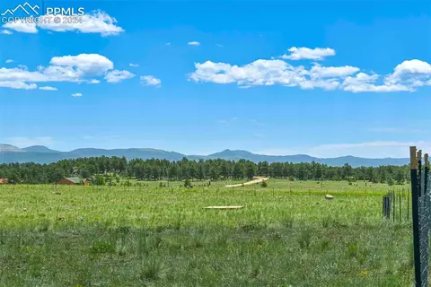 56 View Ln, Guffey, CO 80820 photo 10