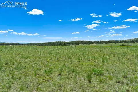 56 View Ln, Guffey, CO 80820 photo 29