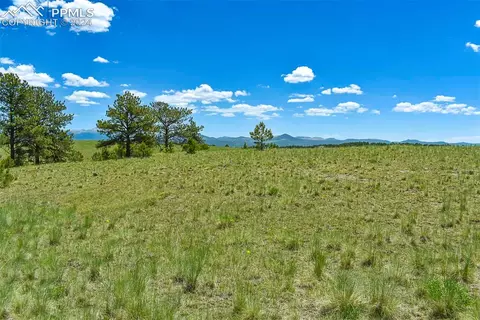 56 View Ln, Guffey, CO 80820 photo 9