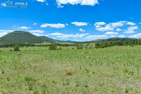 56 View Ln, Guffey, CO 80820 photo 31