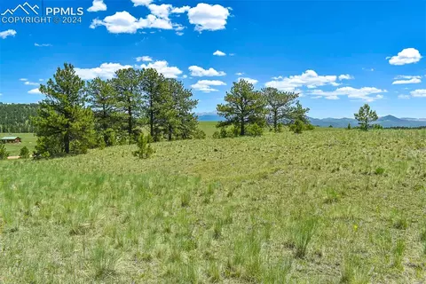 56 View Ln, Guffey, CO 80820 photo 18
