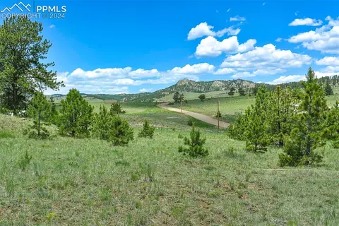 56 View Ln, Guffey, CO 80820 photo 8