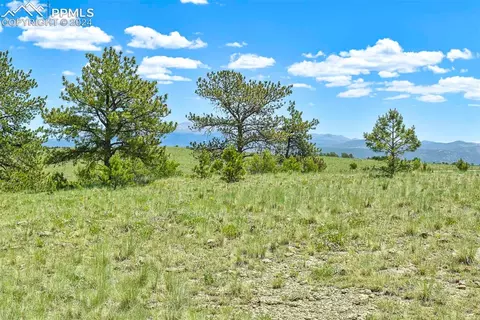 56 View Ln, Guffey, CO 80820 photo 6
