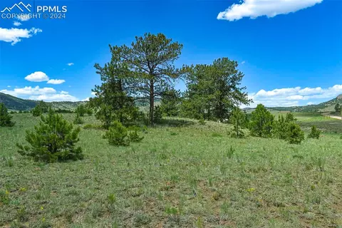 56 View Ln, Guffey, CO 80820 photo 12