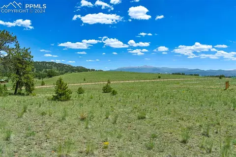 56 View Ln, Guffey, CO 80820 photo 2