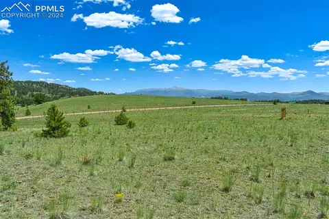 56 View Ln, Guffey, CO 80820 photo 16