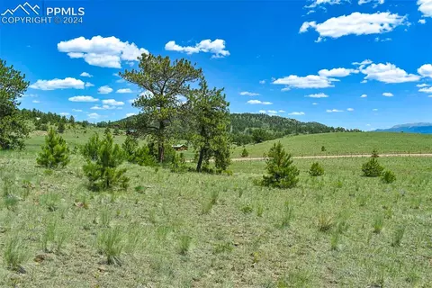 56 View Ln, Guffey, CO 80820 photo 5