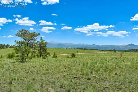 56 View Ln, Guffey, CO 80820 photo 13