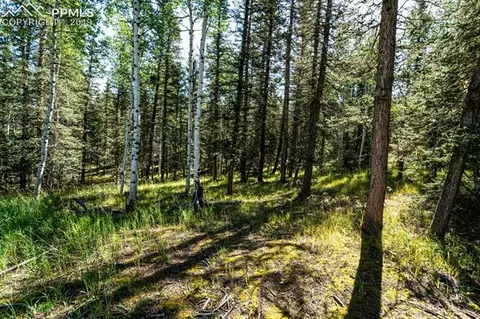 3662 County Road 5 Na Na, Divide, CO 80814 photo 7