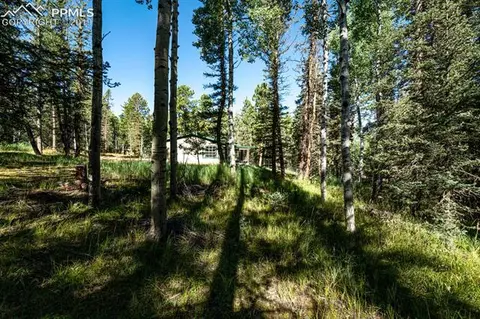 3662 County Road 5 Na Na, Divide, CO 80814 photo 4