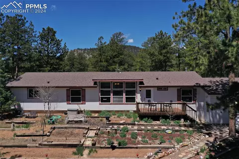 10199 County Road 98, Lake George, CO 80827