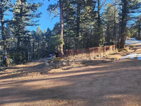 1180 Pinewood Rd, Florissant, CO 80816