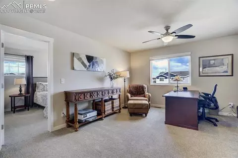 9783 Witherbee Dr, Peyton, CO 80831 photo 16