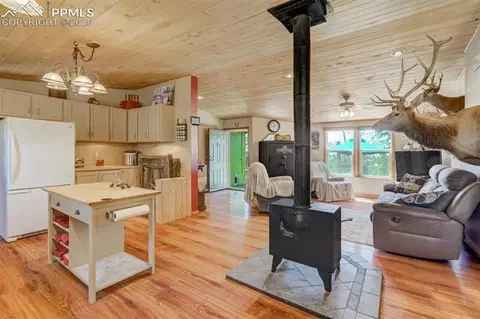 100 Hawk Ln, Guffey, CO 80820 photo 20