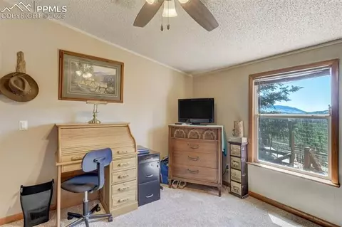 100 Hawk Ln, Guffey, CO 80820 photo 15