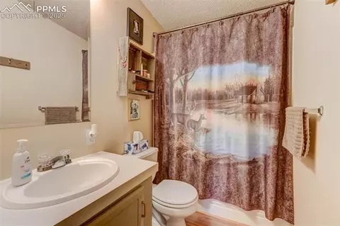100 Hawk Ln, Guffey, CO 80820 photo 19