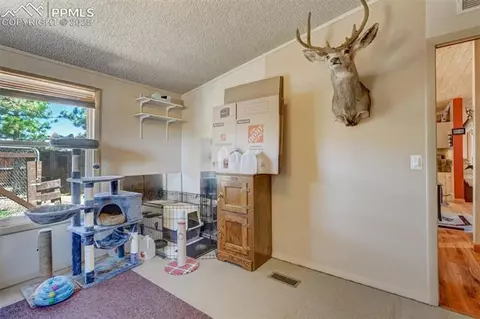 100 Hawk Ln, Guffey, CO 80820 photo 18