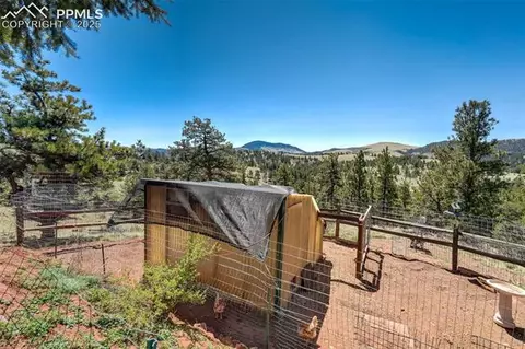 100 Hawk Ln, Guffey, CO 80820 photo 27