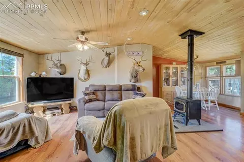 100 Hawk Ln, Guffey, CO 80820 photo 6