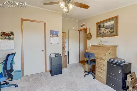 100 Hawk Ln, Guffey, CO 80820 photo 16