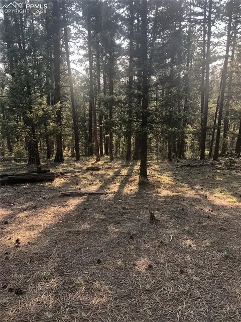 469 Echo Lake Dr, Lake George, CO 80827