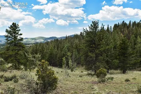744 Eagle Ln, Guffey, CO 80820 photo 33