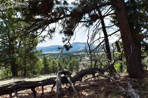 744 Eagle Ln, Guffey, CO 80820 photo 30
