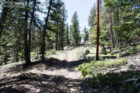 744 Eagle Ln, Guffey, CO 80820 photo 29