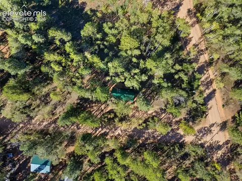 View/Area - 954 Timber Ridge Rd, Divide, CO 80814 photo 1 of 1