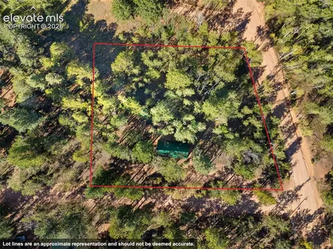 Other - 954 Timber Ridge Rd, Divide, CO 80814 photo 3 of 3