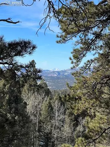 2670 N Mountain Estates Rd, Florissant, CO 80816