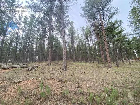 60 Pickens Rd, Florissant, CO 80816